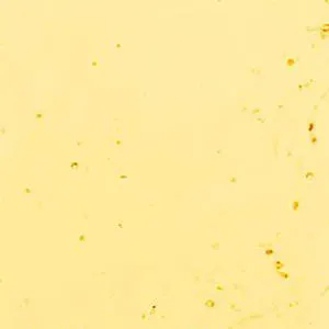 Lighter Amber: Smooth glass, Kokomo 183
