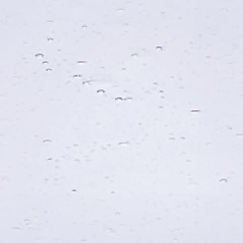 100seedy glass sample
